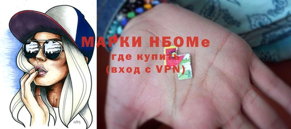 твердый Надым