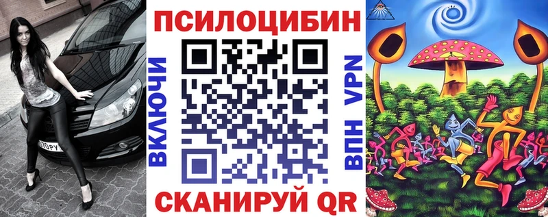 Псилоцибиновые грибы Psilocybine cubensis  купить наркотики сайты  Минусинск 